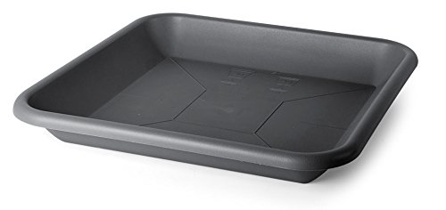 Floralo e. K. Untersetzer für Pflanztöpfe quadratisch, anthrazit-Außenmaß Oben 12 cm x 12 cm, Innenmaß Boden 8,5 cm x 8,5 cm Floralo e. K. Untersetzer für Pflanztöpfe quadratisch, anthrazit-Außenmaß Oben 12 cm x 12 cm, Innenmaß Boden 8,5 cm x 8,5 cm von Floralo e. K.