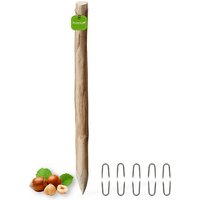 Floranica Zaunpfahl, 120 cm hoch, Ø 6-8 cm, Haselnussholz - braun Floranica Zaunpfahl, 120 cm hoch, Ø 6-8 cm, Haselnussholz - braun von Floranica