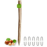 Floranica Zaunpfahl, 90 cm hoch, Ø 6-8 cm, Haselnussholz - braun Floranica Zaunpfahl, 90 cm hoch, Ø 6-8 cm, Haselnussholz - braun von Floranica