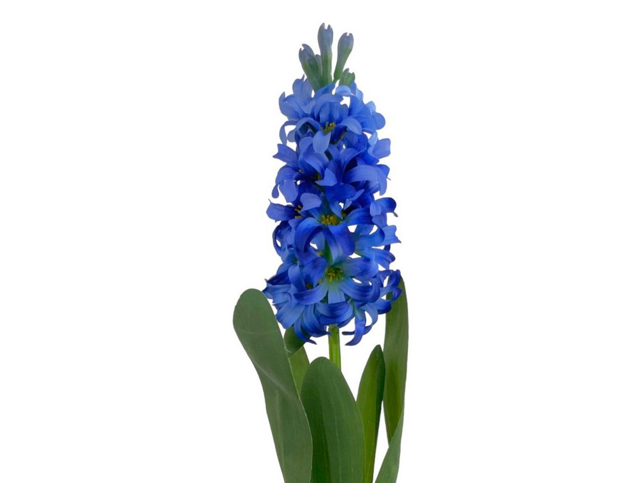 Kunstblume Künstliche Hyazinthe 44cm BLAU, Floratexx GmbH Kunstblume Künstliche Hyazinthe 44cm BLAU, Floratexx GmbH von Floratexx GmbH