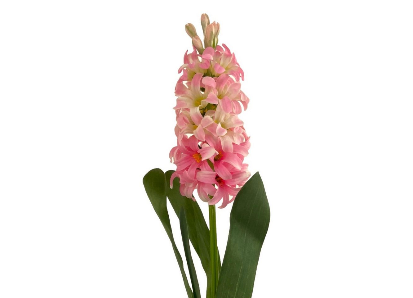 Kunstblume Künstliche Hyazinthe 44cm ROSA, Floratexx GmbH Kunstblume Künstliche Hyazinthe 44cm ROSA, Floratexx GmbH von Floratexx GmbH