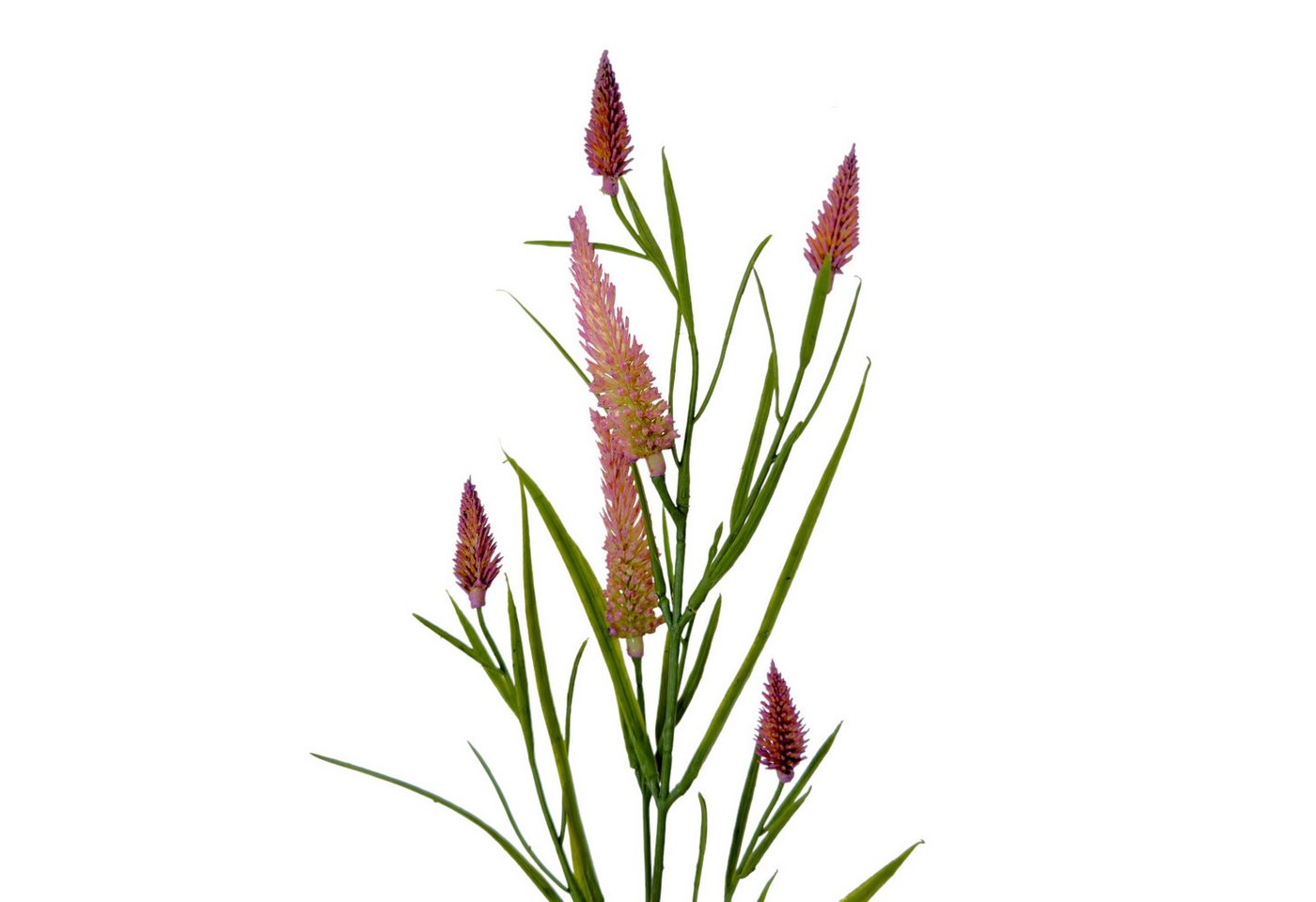 Kunstblume Künstlicher Weiderich 60cm, Wiesenblume ROSA, Floratexx GmbH Kunstblume Künstlicher Weiderich 60cm, Wiesenblume ROSA, Floratexx GmbH von Floratexx GmbH