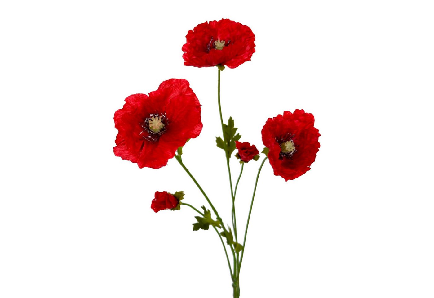 Kunstblume Künstlicher Wiesenmohn 64cm, Mohn mit 5 Blüten ROT, Floratexx GmbH Kunstblume Künstlicher Wiesenmohn 64cm, Mohn mit 5 Blüten ROT, Floratexx GmbH von Floratexx GmbH