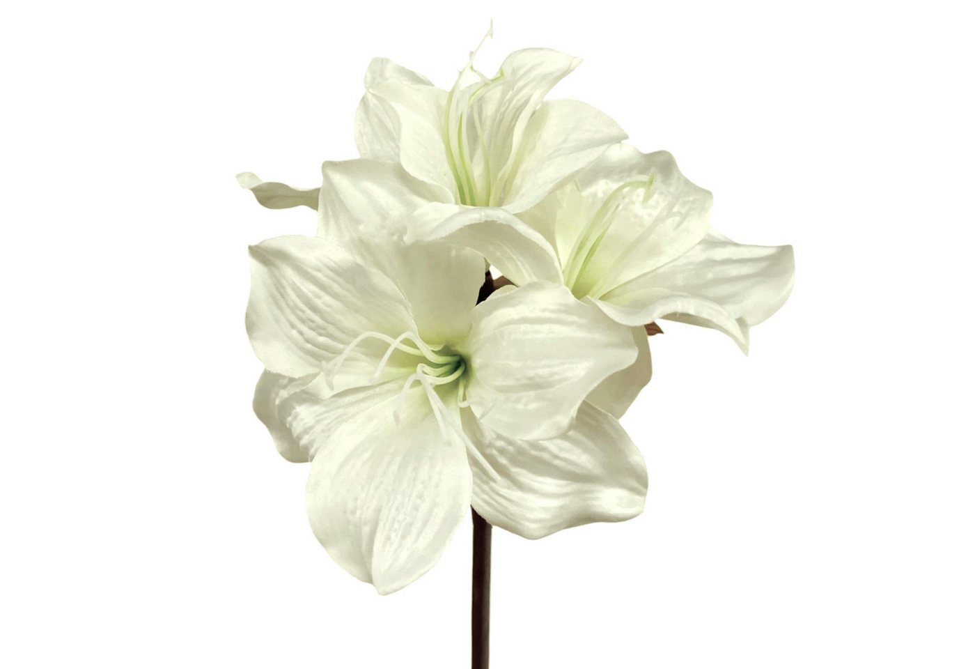 Kunstblume Kunstblume Amaryllis ca. 48cm. 1 Stängel mit 3 Blüten, Floratexx GmbH, Höhe 48.00 cm Kunstblume Kunstblume Amaryllis ca. 48cm. 1 Stängel mit 3 Blüten, Floratexx GmbH, Höhe 48.00 cm von Floratexx GmbH