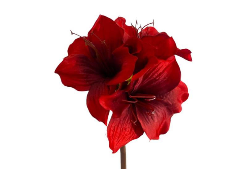 Kunstblume Kunstblume Amaryllis ca. 48cm. 1 Stängel mit 3 Blüten, Floratexx GmbH, Höhe 48.00 cm von Floratexx GmbH