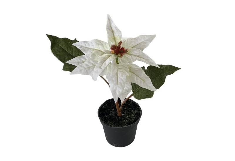 Kunstblume Kunstblume POINSETTIE im TOPF. 17 cm. Christstern in WEISS, Floratexx GmbH von Floratexx GmbH