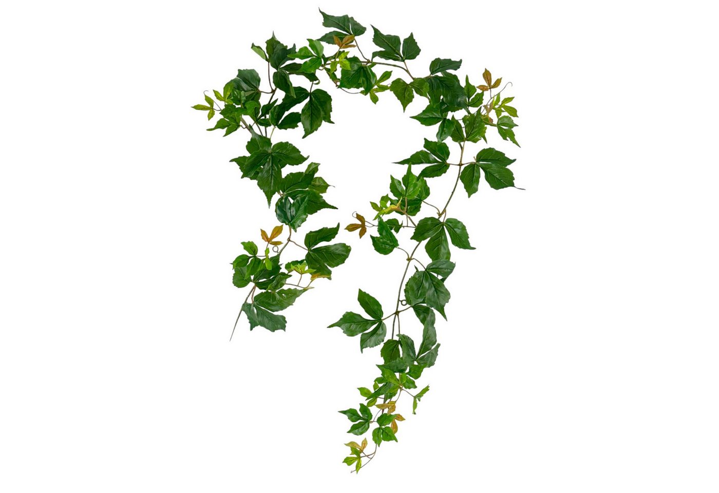 Kunstgirlande Künstliche Weinlaubgirlande mit UV-Schutz 150cm, Floratexx GmbH, Höhe 150.00 cm Kunstgirlande Künstliche Weinlaubgirlande mit UV-Schutz 150cm, Floratexx GmbH, Höhe 150.00 cm von Floratexx GmbH