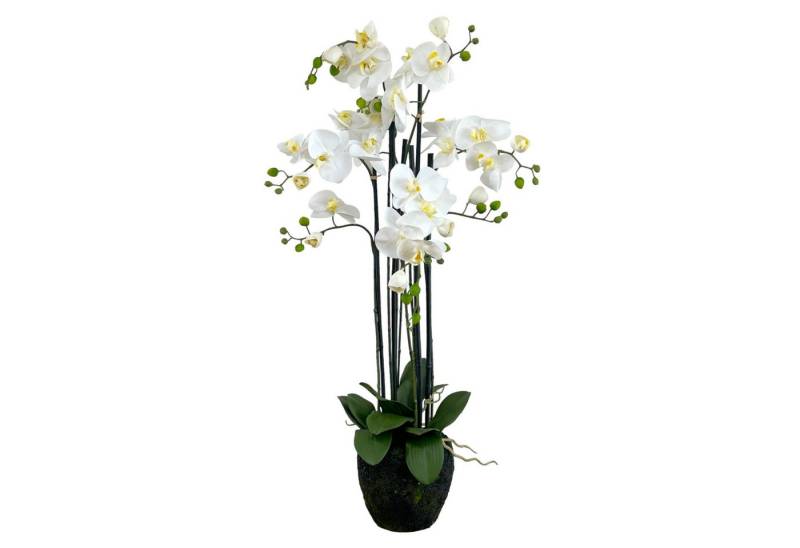 Kunstorchidee Künstliche Orchidee im Moosballen 96cm, Floratexx GmbH von Floratexx GmbH