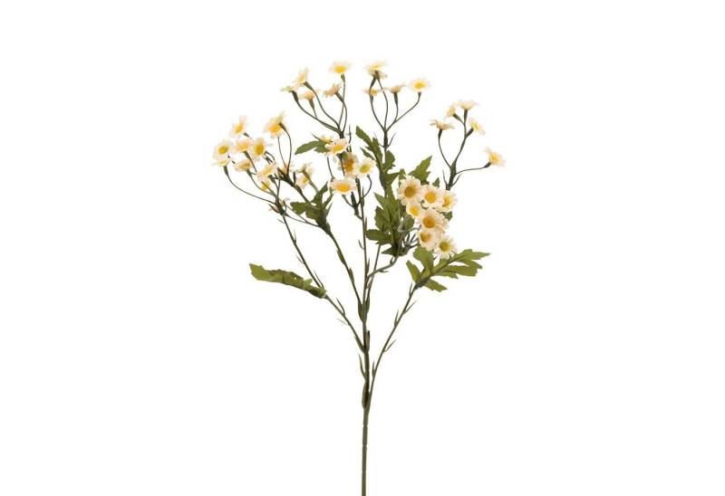 Kunstzweig Künstlicher Kamillenzweig 60cm apricot CREME, Floratexx GmbH, Höhe 60.00 cm von Floratexx GmbH