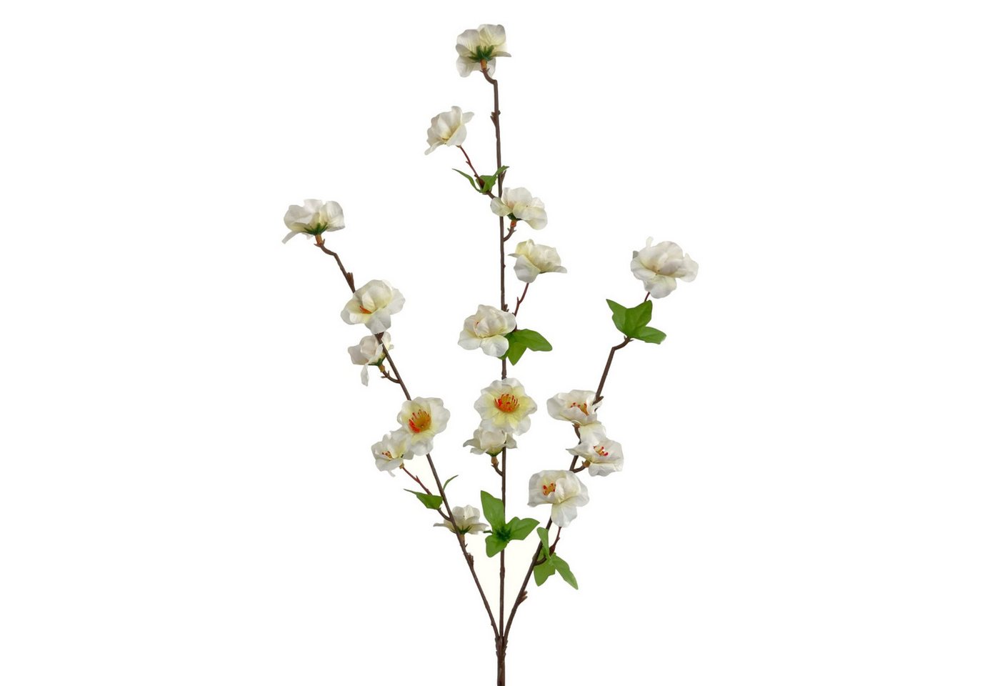 Kunstzweig Künstlicher Kirschblütenzweig ca. 62cm CREME-WEISS, Floratexx GmbH, Höhe 62.00 cm Kunstzweig Künstlicher Kirschblütenzweig ca. 62cm CREME-WEISS, Floratexx GmbH, Höhe 62.00 cm von Floratexx GmbH