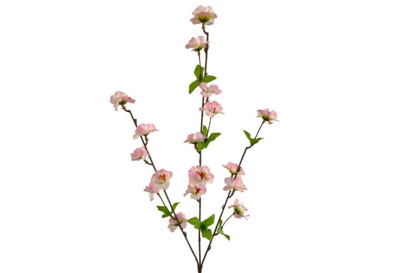 Kunstzweig Künstlicher Kirschblütenzweig ca. 62cm PINK-ROSA, Floratexx GmbH, Höhe 62.00 cm Kunstzweig Künstlicher Kirschblütenzweig ca. 62cm PINK-ROSA, Floratexx GmbH, Höhe 62.00 cm von Floratexx GmbH