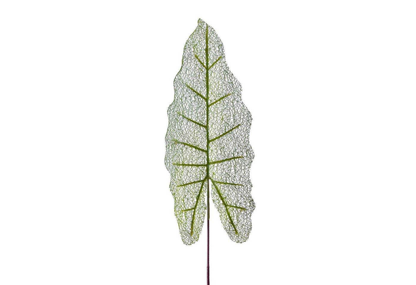 Kunstzweig Künstliches ELEFANTEN-OHR BLATT 75cm. Pfeilblatt feinadrig in GRÜN, Floratexx GmbH, Höhe 75.00 cm Kunstzweig Künstliches ELEFANTEN-OHR BLATT 75cm. Pfeilblatt feinadrig in GRÜN, Floratexx GmbH, Höhe 75.00 cm von Floratexx GmbH
