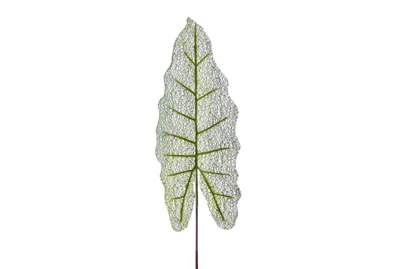 Kunstzweig Künstliches ELEFANTEN-OHR BLATT 75cm. Pfeilblatt feinadrig in GRÜN, Floratexx GmbH, Höhe 75.00 cm von Floratexx GmbH