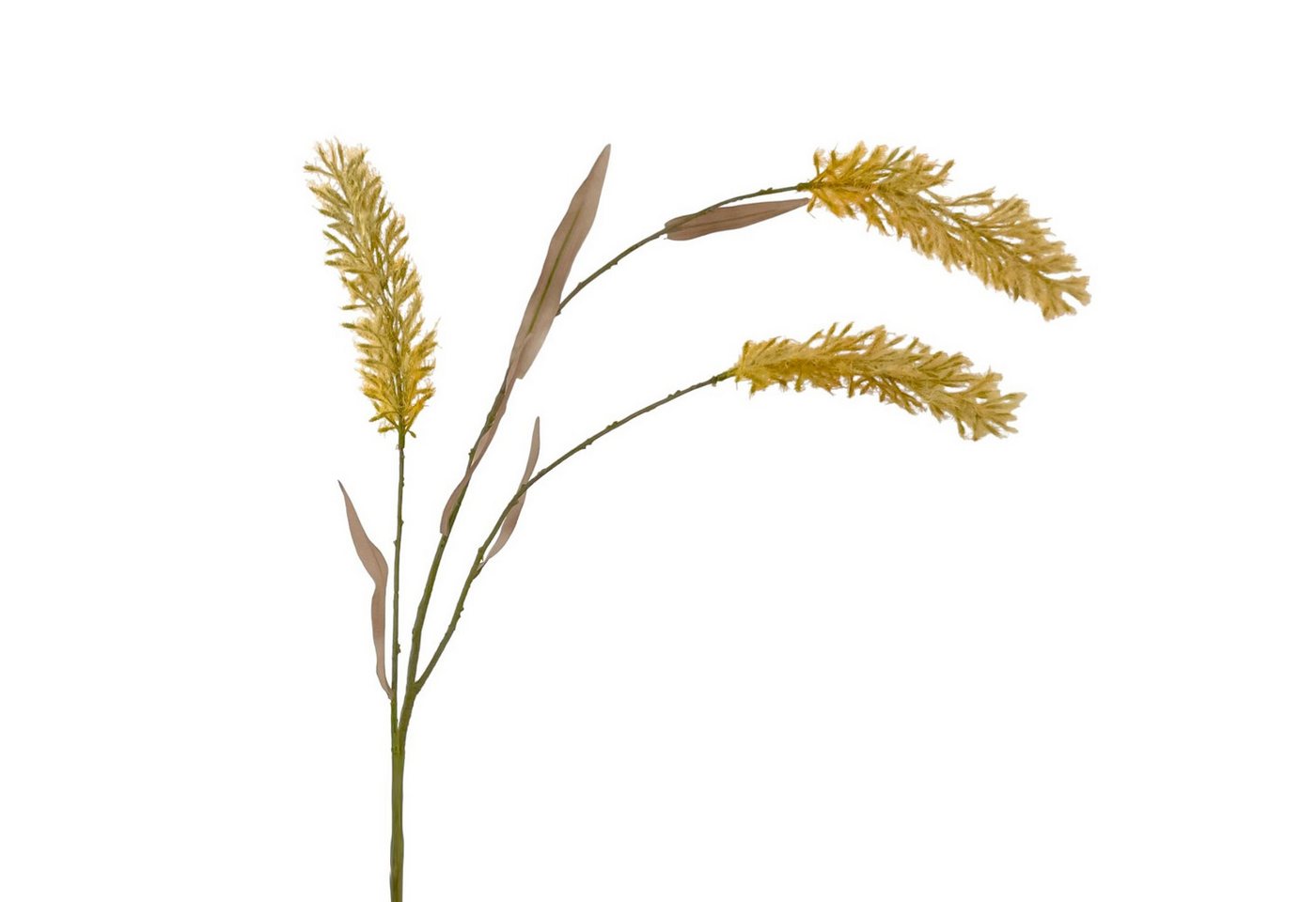 Kunstzweig Künstliches Pampasgras ca. 120cm CREME. Trockenblumen-Optik, Floratexx GmbH, Höhe 120.00 cm Kunstzweig Künstliches Pampasgras ca. 120cm CREME. Trockenblumen-Optik, Floratexx GmbH, Höhe 120.00 cm von Floratexx GmbH