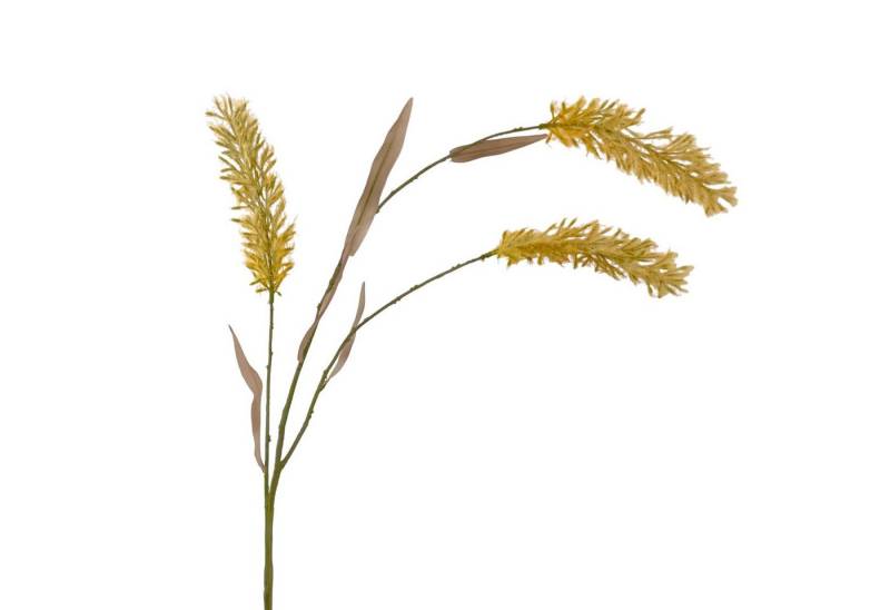 Kunstzweig Künstliches Pampasgras ca. 120cm CREME. Trockenblumen-Optik, Floratexx GmbH, Höhe 120.00 cm von Floratexx GmbH