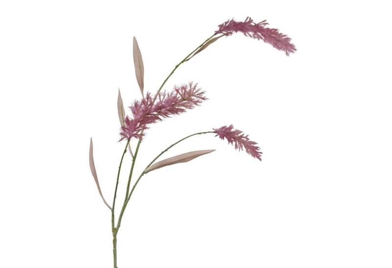 Kunstzweig Künstliches Pampasgras ca. 120cm Rosa BURGUND. Trockenblumen-Optik, Floratexx GmbH, Höhe 120.00 cm von Floratexx GmbH