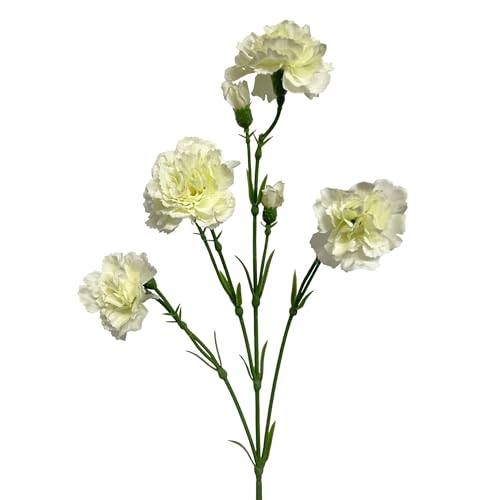 Floratexx Künstliche Blumen Spray-Nelke in Creme-Weiß ca. 62cm. Kunstblume Nelke Blumendeko Innenraum-Dekoration für Sommer von Floratexx
