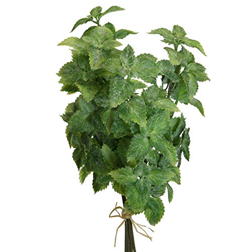 Floratexx Künstlicher Minze Bund mit 4 Trieben ca 30 cm. Minze, Minzen, Gewürz, Kräuter. GRÜN. Art.: 23296 07 von Floratexx