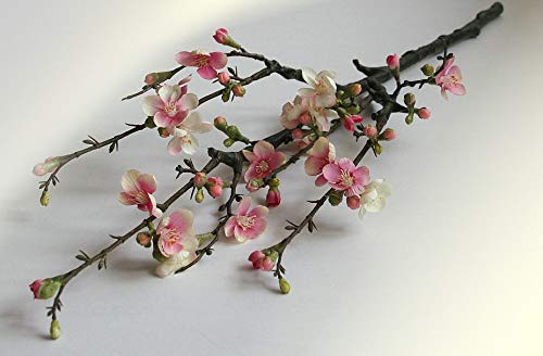 Floratexx Kunstblume Apfelblüten-Zweig Blütenzweig weiß-rosa 74 cm von Floratexx