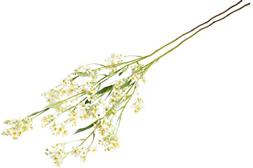 Floratexx künstlicher großer Blütenast mit vielen kleinen Blüten und Blättern (2 Stück) (Creme-weiß) von Floratexx