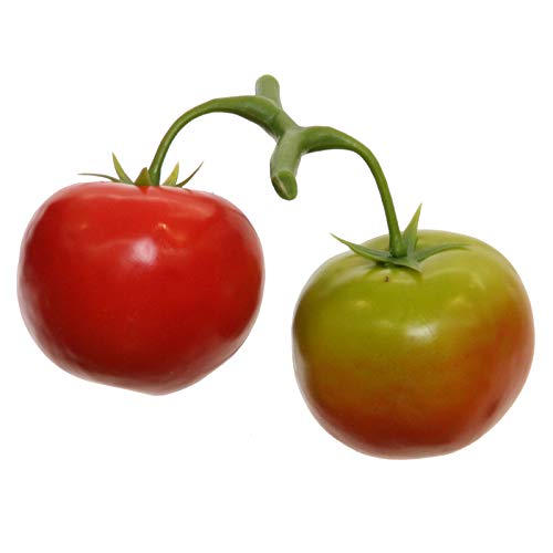 Künstliche TOMATENRISPE x 2. Eine Rispe mit 2 Tomaten. Dekogemüse. 1 x Tomate rot + 1 x Tomate grün. 32005 01 von Floratexx