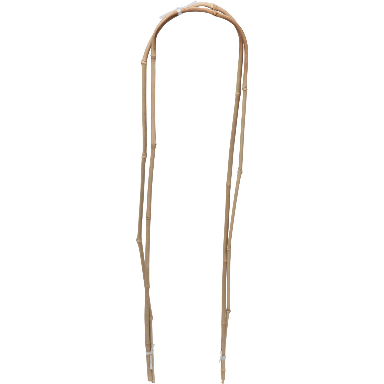 Floraworld Pflanzenbogen 2er-Set 60 cm von Floraworld