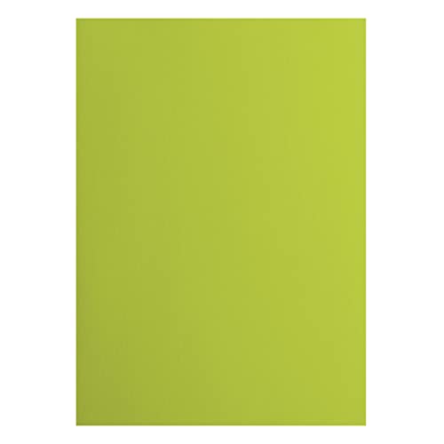Vaessen Creative 2927-068 Florence Cardstock Papier, Grün, 216 Gramm/m², DIN A4, 10 Stück, Glatt, für Scrapbooking, Kartenherstellung, Stanzen und andere Papierbasteleien, Lime Vaessen Creative 2927-068 Florence Cardstock Papier, Grün, 216 Gramm/m², DIN A4, 10 Stück, Glatt, für Scrapbooking, Kartenherstellung, Stanzen und andere Papierbasteleien, Lime von Vaessen Creative