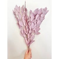 Konservierte Israeli Ruscus Große Blätter Pflanze | Trauben Süßigkeit Getrocknete Blumen Diy Hochzeitsstrauß Boho Decor Crafts Arrangement von FlorettePreserves