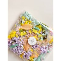 Tasche Regenbogen Funfetti Träume Konfetti Getrocknete Konservierte Blumen Floral | Diy Natural Arrangement - Ideal Für Geschenke, Dekor, Basteln von FlorettePreserves