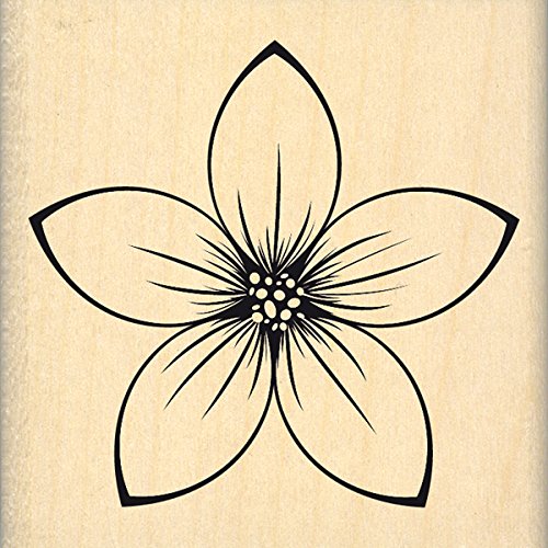 florilèges Design fe216102 Stempel Holz Blume Isabella Holz Farbe Holz 6 x 2.5 cm von Florilèges Design