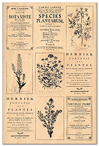 Florilèges Design fha112037 Stempel Scrapbooking Herbier, beige 15 x 10 x 2,5 cm Florilèges Design fha112037 Stempel Scrapbooking Herbier, beige 15 x 10 x 2,5 cm von Florilèges Design