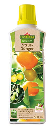 Florissa Zitrusdünger 500 ml von Florissa Natürlich