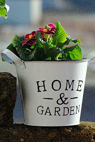 Florissima Metalltöpfe,weiß,Home & Garden frische Frühlingsdeko,rund,19cm, 2er Set von Florissima