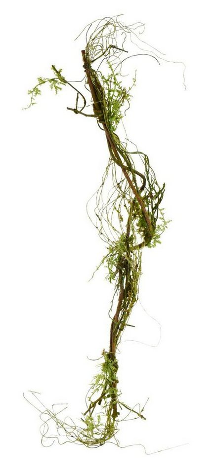 Kunstblumenstrauß Liane 70cm mit Moos, braun/grün formbar, Florissima von Florissima