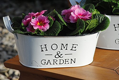 Florissima Metalltöpfe,weiß,Home & Garden frische Frühlingsdeko,oval,26cm,2er Set Florissima Metalltöpfe,weiß,Home & Garden frische Frühlingsdeko,oval,26cm,2er Set von Florissima