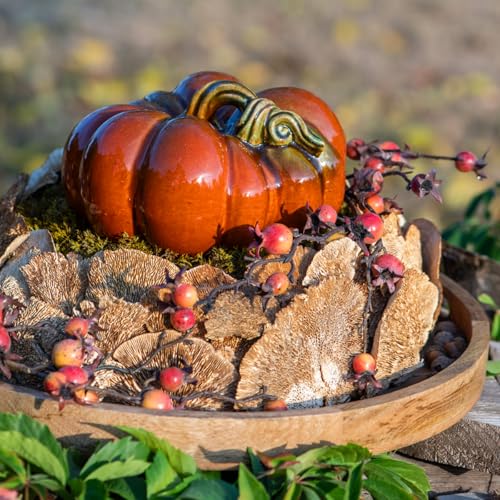 Baumschwamm getrocknet für floristische Deko und Modellbau Naturprodukt Baumschwamm getrocknet für floristische Deko und Modellbau Naturprodukt von Floristik24