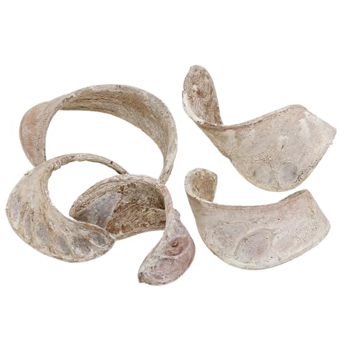 Floristik24 Elephant Ear Weiß gewaschen Deko Holz 25 St von Floristik24