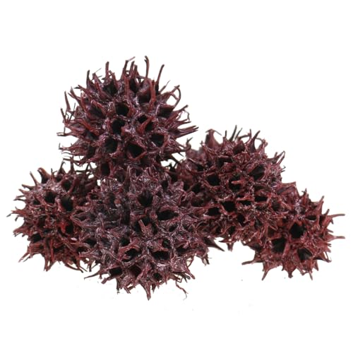 Floristik24 Amberbaum Deko Zapfen Rot gefrostet 250g Naturmaterial Basteln Dekoration von Floristik24