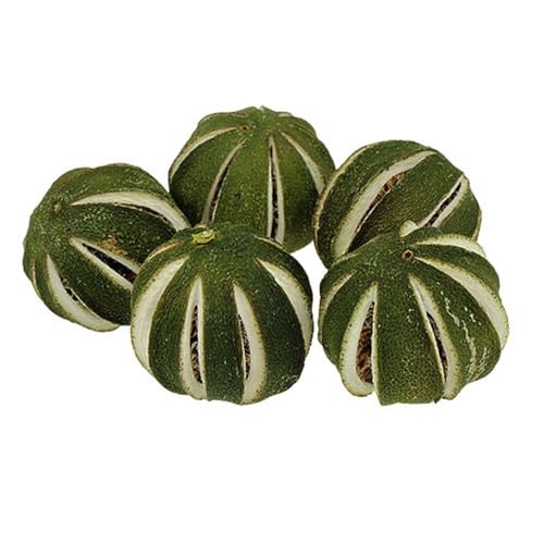 Floristik24 Dekorative getrocknete ganze Limetten für weihnachtliche Tischdekoration von Floristik24