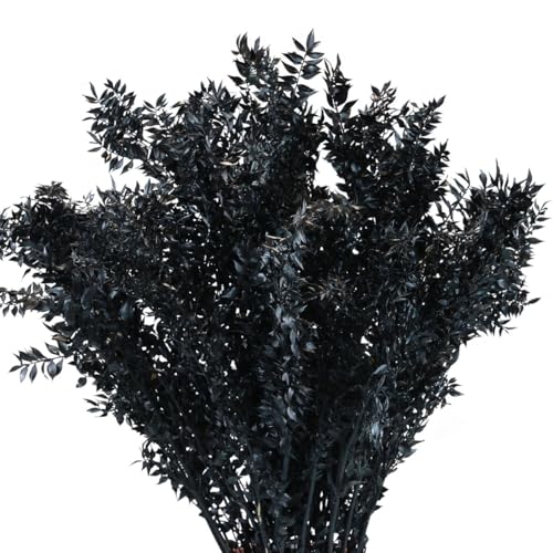 Floristik24 Getrocknete Ruscus Dekozweige, Schwarze Trockenblumen-Deko, Konserviertes Arrangement, Mäusedorn, 1kg Floristik24 Getrocknete Ruscus Dekozweige, Schwarze Trockenblumen-Deko, Konserviertes Arrangement, Mäusedorn, 1kg von Floristik24