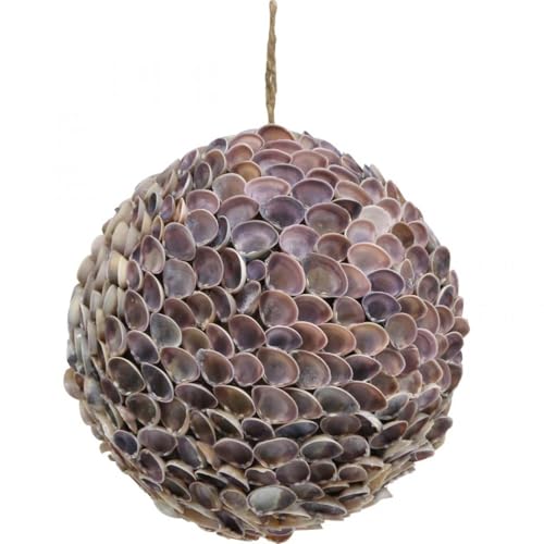 Floristik24 Große Maritime Deko-Kugel aus Muscheln mit violett-cremefarbenem Muster Floristik24 Große Maritime Deko-Kugel aus Muscheln mit violett-cremefarbenem Muster von Floristik24