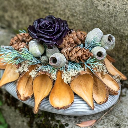 Floristik24 Natürliche Samenkapseln Deko Schoten Braun 50 St 9-12 cm von Floristik24