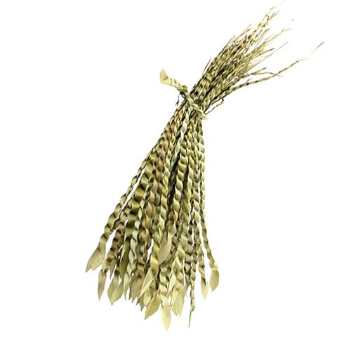 Floristik24 Elegante Dekorative Schilf-Ranke für Trauer und Herbst Dekorationen von Floristik24