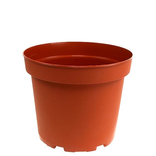 Floristik24 Pflanztöpfe Kunststoff Terrakotta Design für Innen Außen Floristik24 Pflanztöpfe Kunststoff Terrakotta Design für Innen Außen von Floristik24