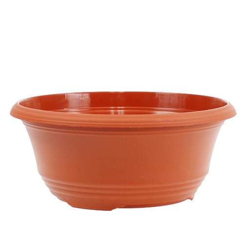 Floristik24 Runde Pflanzschale Ø23cm Plastik Terrakotta 5er Set von Floristik24