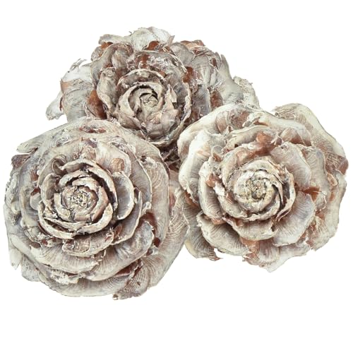 Floristik24 Zedernzapfen Rosenform 4-6cm Weiß/Natur 50 St. von Floristik24