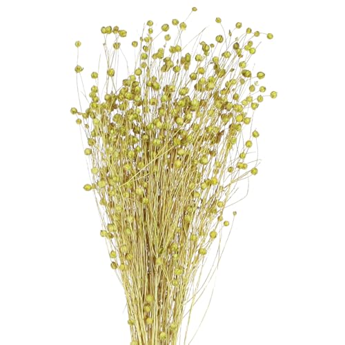 Floristik24 Deko Flachs Trockenblumen Olivgrün Naturdeko 50g von Floristik24