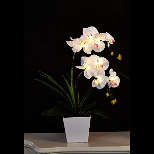 Floristlighting Künstliches Orchideen-Arrangement, 9 Lichter, Beleuchtung mit 2 AA LEDs weiß von FLCSIed