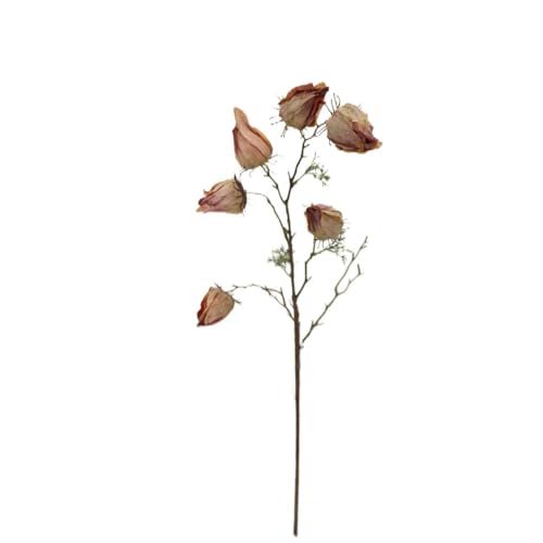 FloristryWarehouse Dry Look Künstliche Chinesische Laterne Blume Spray 70cm/27 Zoll Braun von Floristrywarehouse