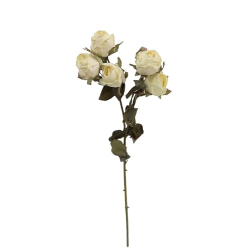 FloristryWarehouse Dry Look Kunstseide, rustikale Rose und Blattstiel, 5 Köpfe, 43 cm, Elfenbeinfarben FloristryWarehouse Dry Look Kunstseide, rustikale Rose und Blattstiel, 5 Köpfe, 43 cm, Elfenbeinfarben von Floristrywarehouse
